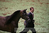 usn07_j11313 proof