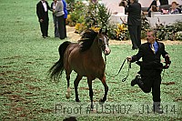 usn07_j11314 proof
