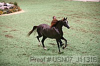 usn07_j11316 proof