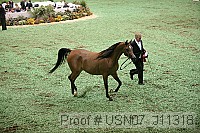 usn07_j11318 proof
