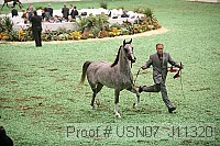 usn07_j11320 proof