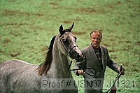 usn07_j11321 proof