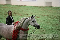 usn07_j11325 proof