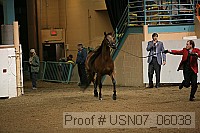 usn07_06038 proof
