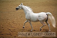 usn07_06051 proof