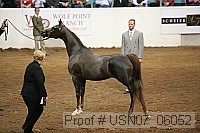 usn07_06052 proof