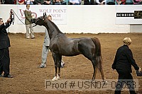 usn07_06053 proof