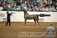 usn07_06055 proof