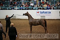 usn07_06057 proof