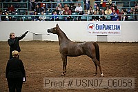 usn07_06058 proof
