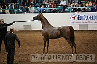 usn07_06061 proof