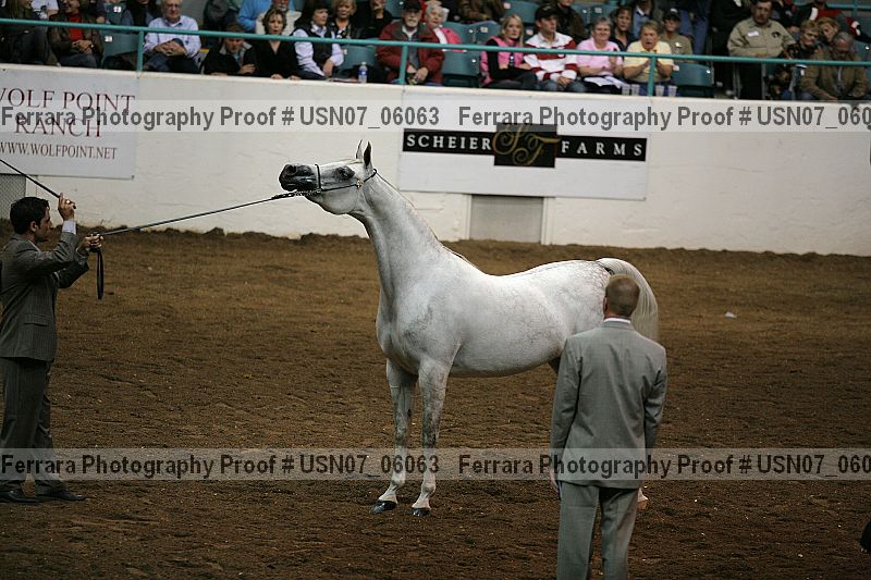 Proof usn07_06063