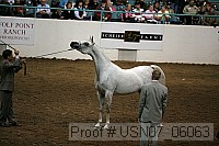 usn07_06063 proof