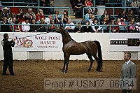 usn07_06064 proof