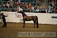 usn07_06066 proof