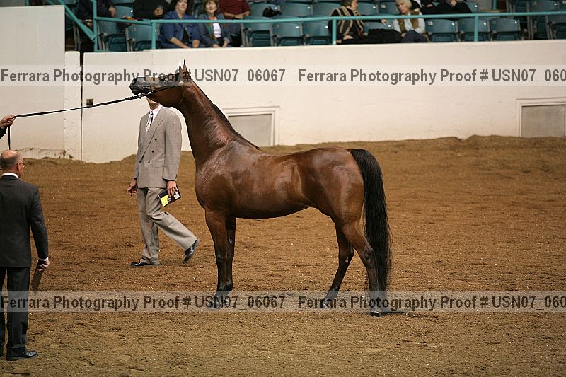 Proof usn07_06067