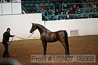 usn07_06068 proof