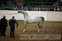 usn07_06071 proof