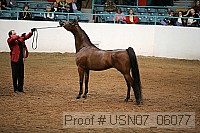 usn07_06077 proof