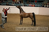 usn07_06078 proof
