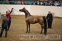 usn07_06081 proof