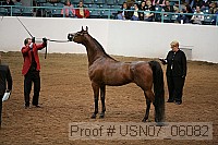 usn07_06082 proof