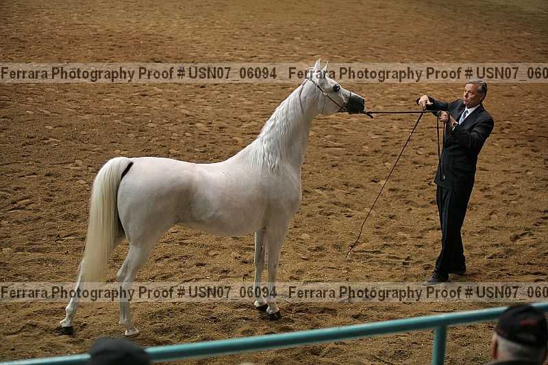 Proof usn07_06094