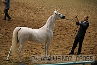 usn07_06095 proof