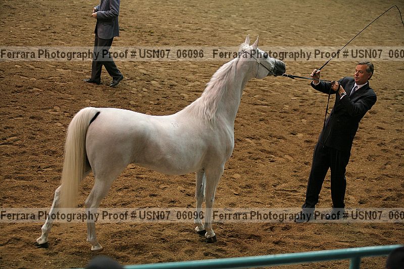 Proof usn07_06096