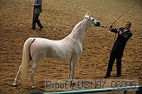 usn07_06096 proof