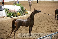 usn07_06105 proof