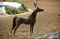 usn07_06107 proof