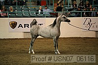 usn07_06116 proof