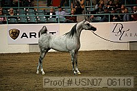 usn07_06118 proof