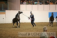 usn07_01616 proof