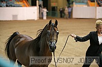 usn07_j01370 proof