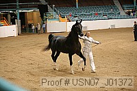 usn07_j01372 proof