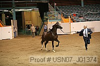 usn07_j01374 proof