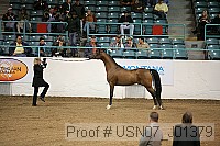 usn07_j01379 proof