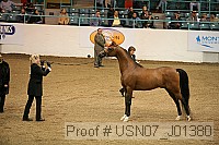 usn07_j01380 proof