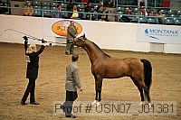 usn07_j01381 proof