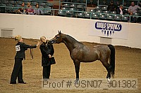 usn07_j01382 proof