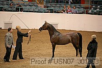 usn07_j01383 proof