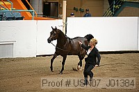usn07_j01384 proof