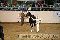 usn07_j01386 proof