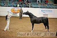 usn07_j01387 proof