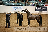usn07_j01390 proof