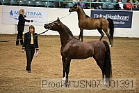 usn07_j01391 proof