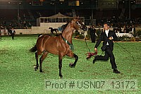 usn07_13172 proof