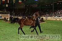 usn07_13173 proof